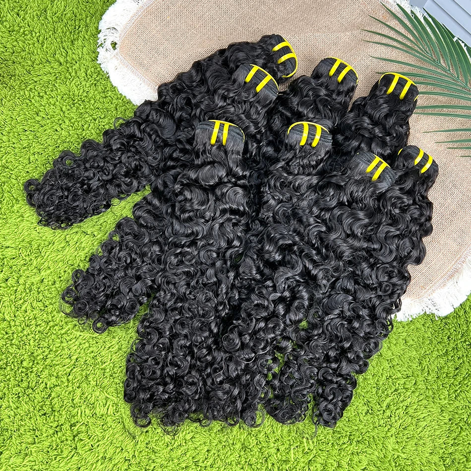 Burmese Curly 100% Human Hair Bundles #1B Natural Black Color Wavy Raw Virgin Hair Weave Extensions Bouncy Curly Vietnamese Hair