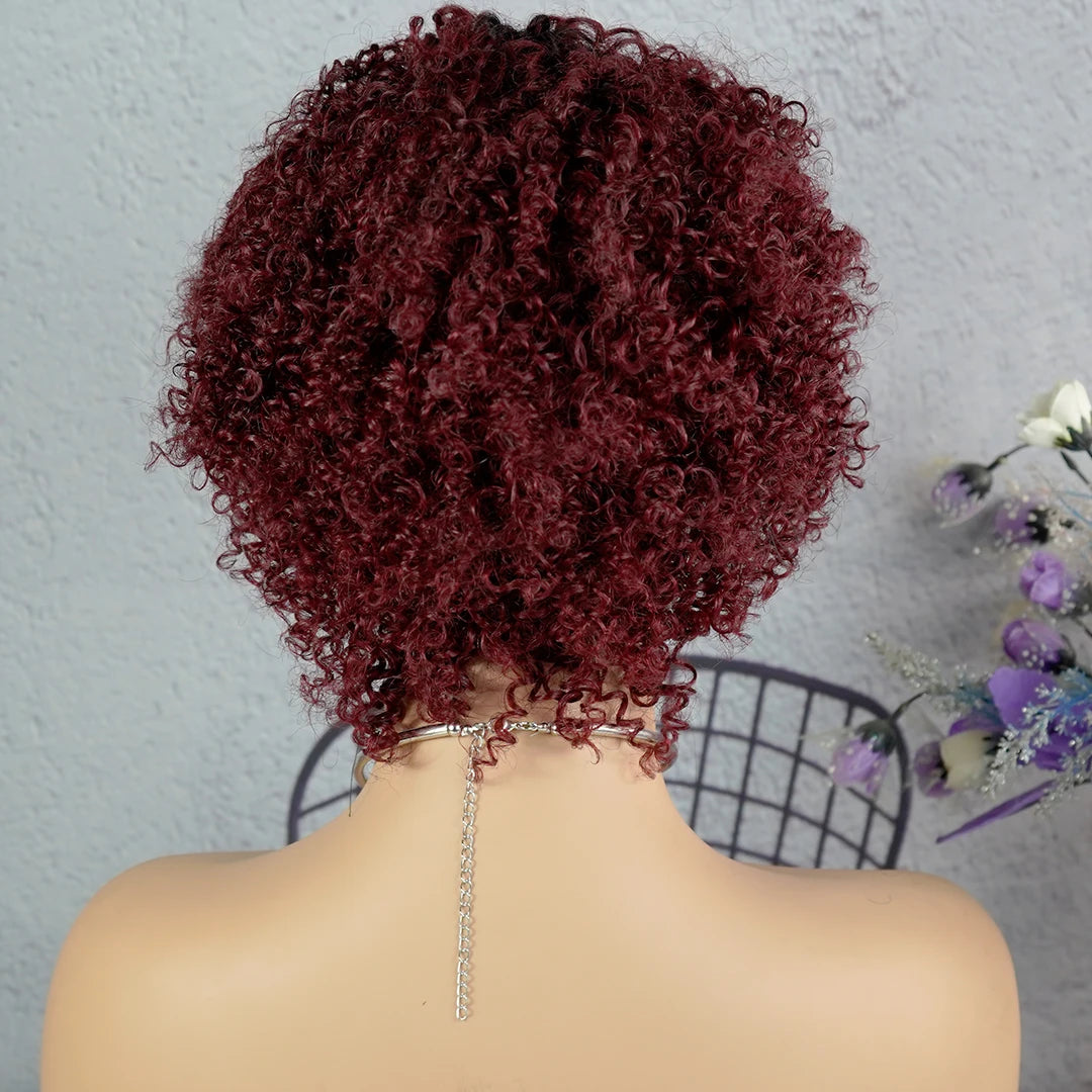 Short Afro Kinky Curly Pixie Wig — 100% Human Hair