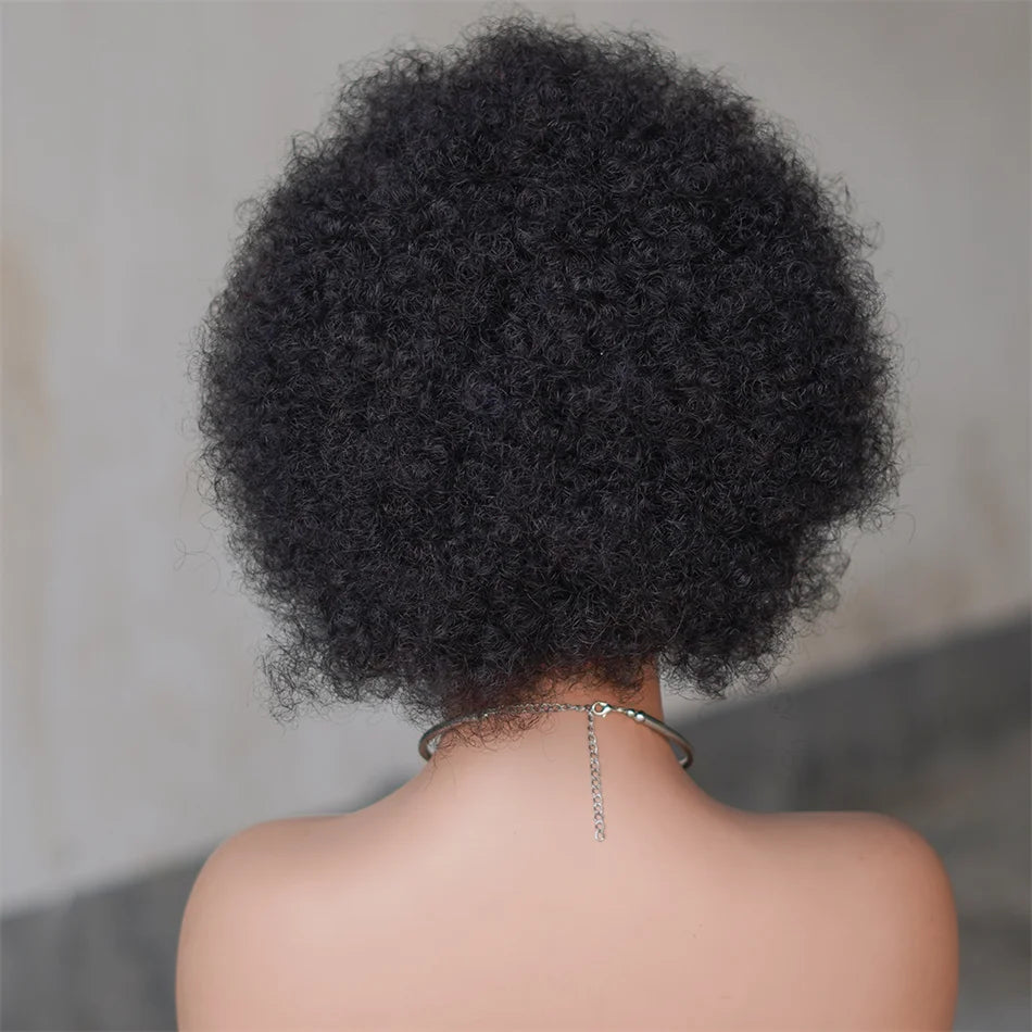 Afro Kinky Curly Wave Wig — Natural Colour, 250% Density