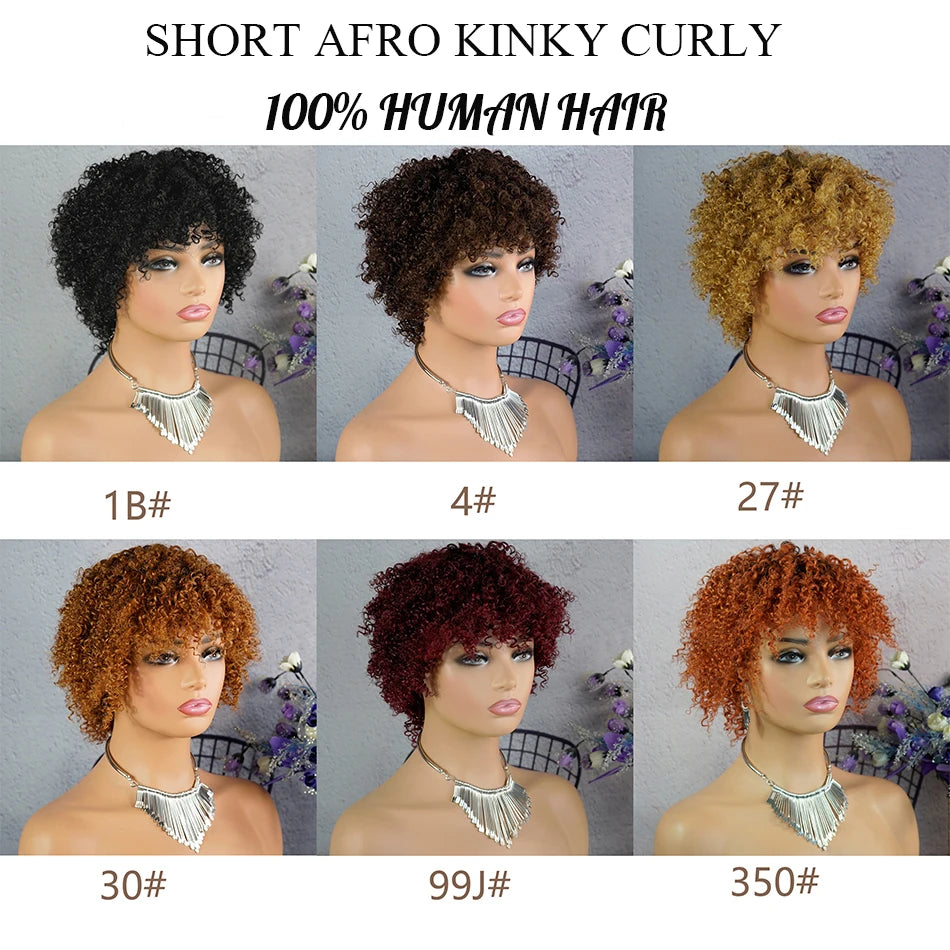 Short Afro Kinky Curly Pixie Wig — 100% Human Hair
