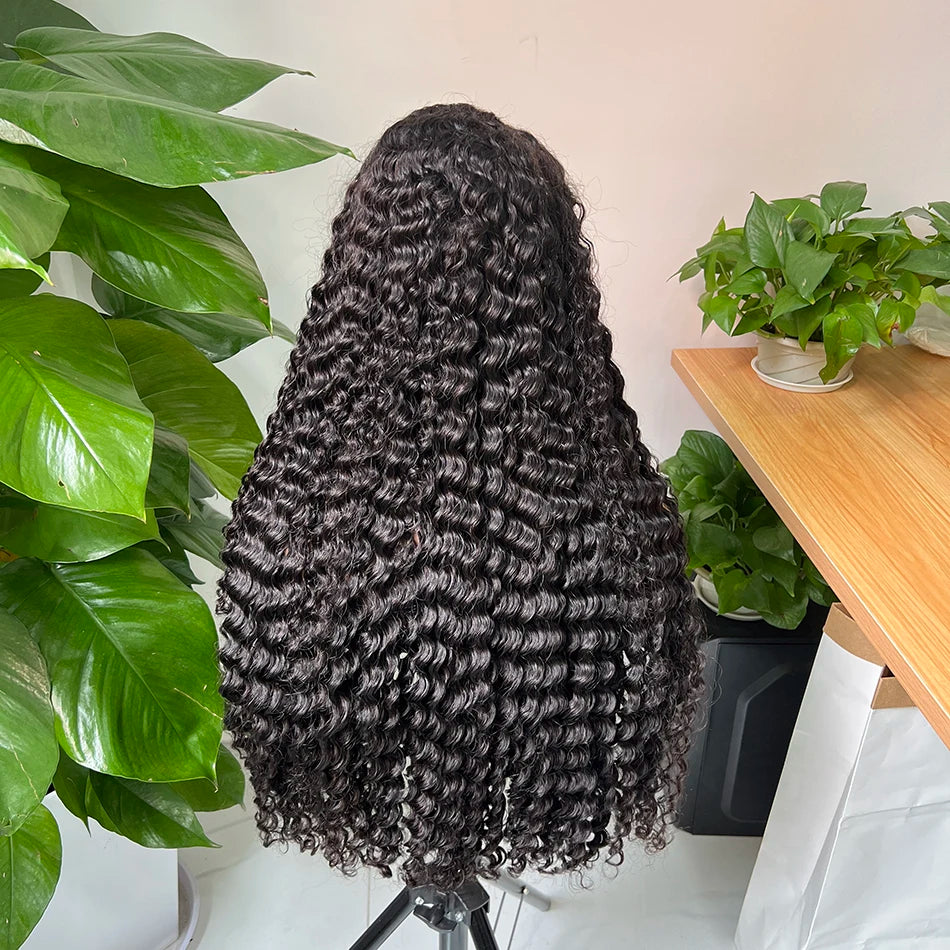 Double Drawn 4x4 HD Lace Closure Wig 13x4 Frontal Wig Deep Wave Human Hair Wigs Preplucked Curly Full #1B Natural Color Raw Hair